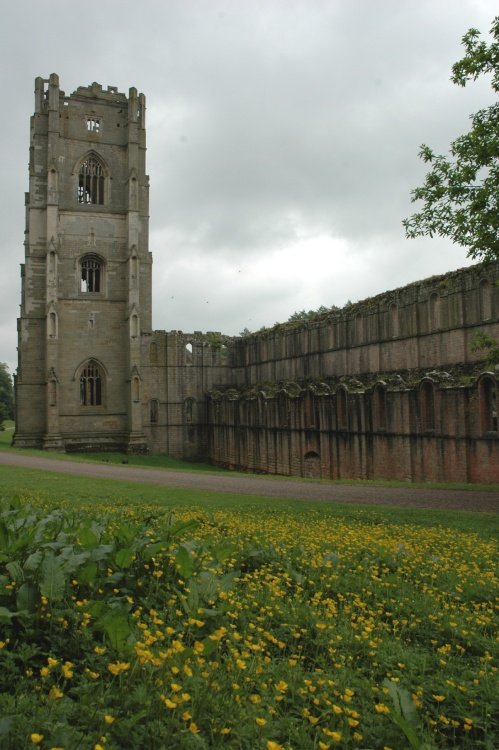 Fountains Abbey