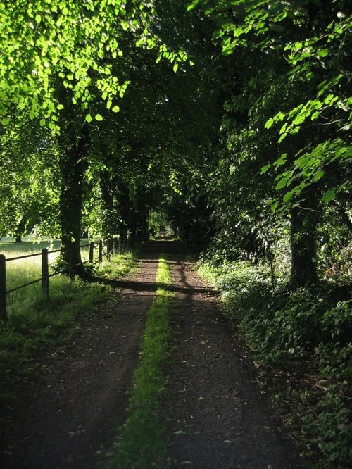 Three Pots Bridleway