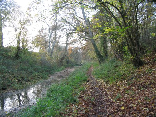 The Basingstoke Canal - towpath