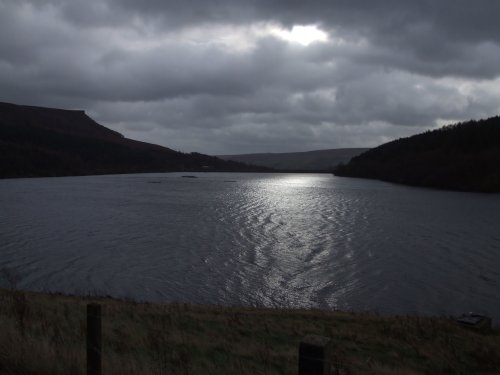 Lady Bower