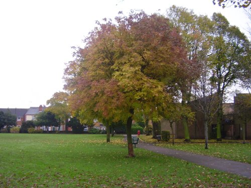 Broadgate Park Beeston