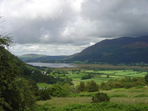Whinlatter Forest Park