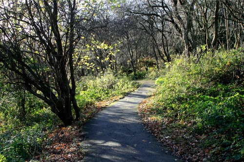 The Hawthorn Wood Path.