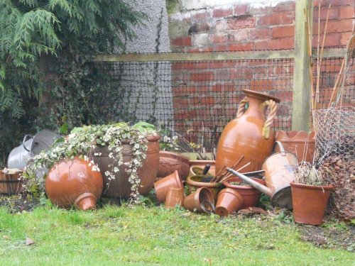 Terracotta Pots
