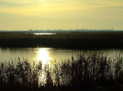 Low winter sunlight at Faxfleet