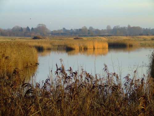 Overview of the wetlands
