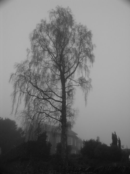 Sweden Bridge Lane, Ambleside