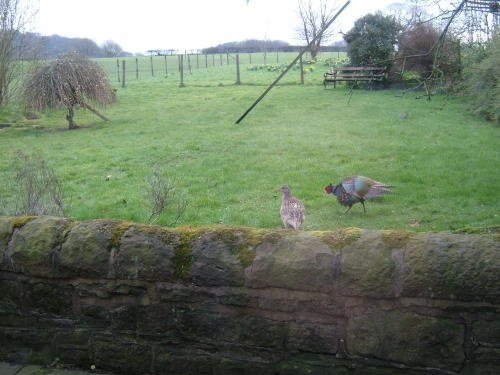 Springtime in Riley Green, Hoghton