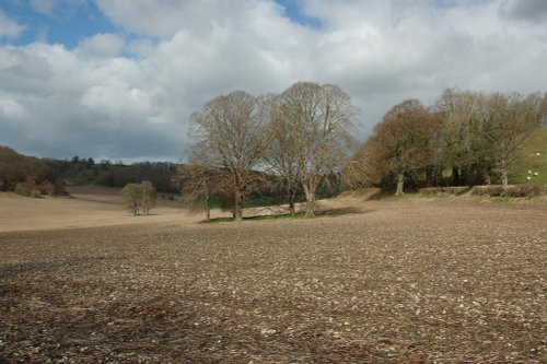 Milton Abbas