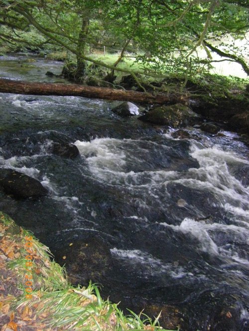 Golitha Falls