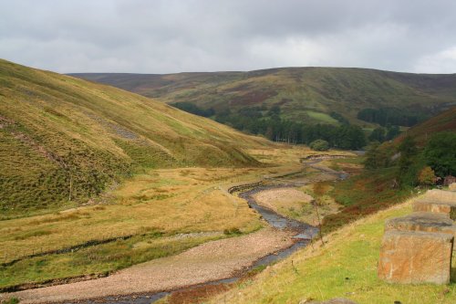 Forest of Bowland