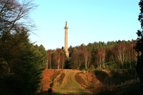 Autumn colours at Gibside.