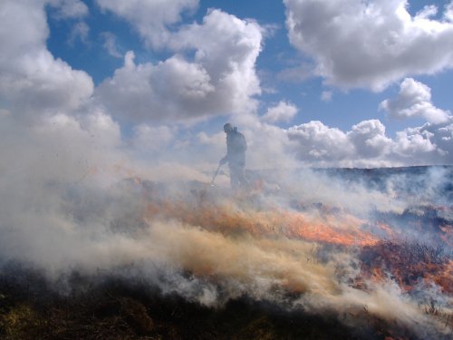 Heather Burning