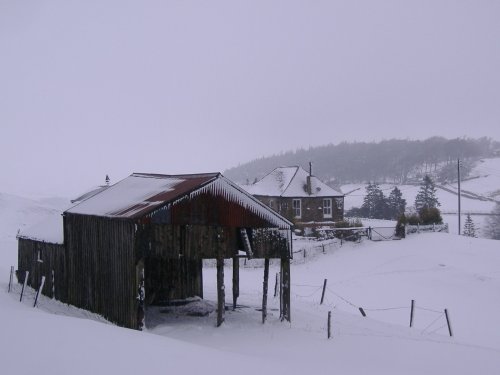 Hay Shed in Blue