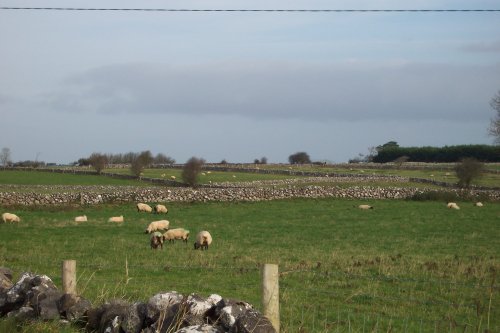County Galway
