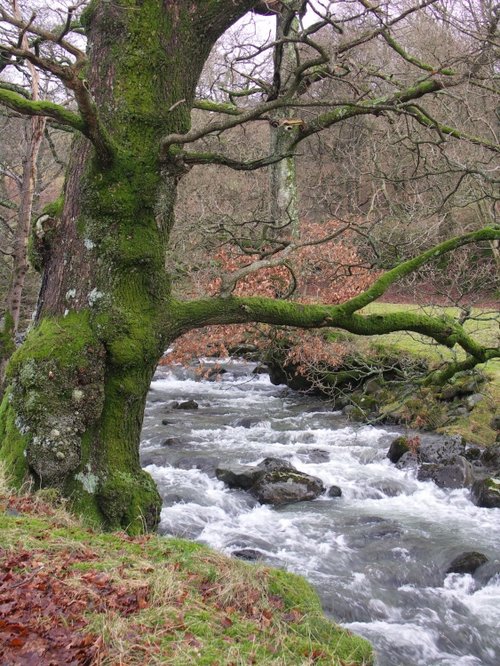 The coffin trail near Rydal Hall, Ambleside