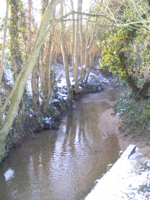 The Brook