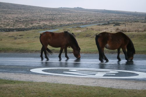 Dartmoor National Park