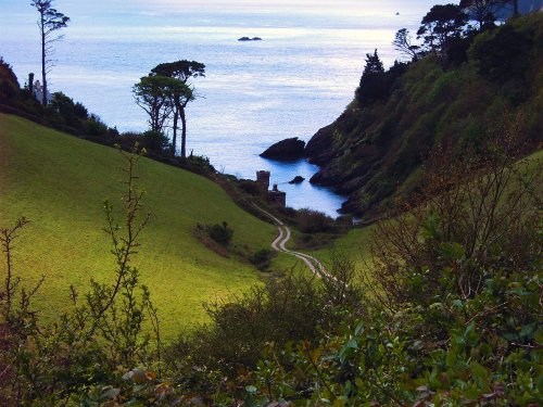Mill Bay Cove near Kingswear