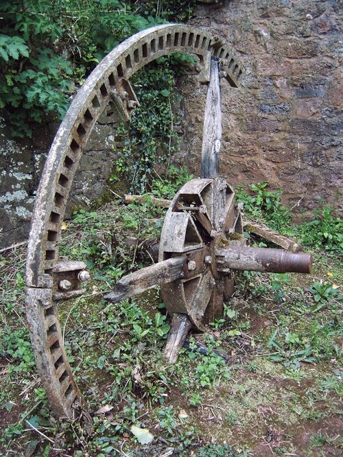 Cockington Court & Country Park