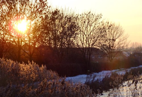 Sunset over Rushes on Gamston Canal