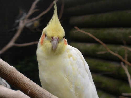 Walton Hall & Gardens