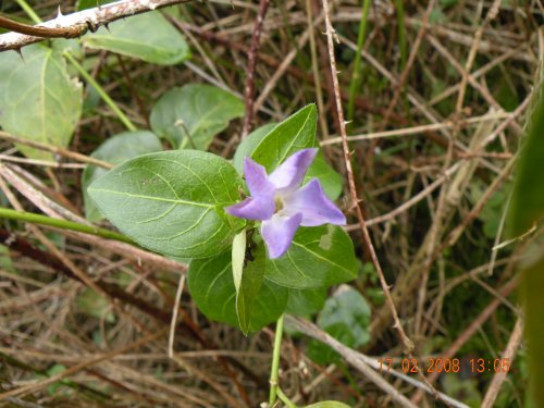 2 Day's After The Snow.