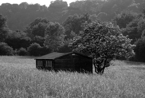 Shed in a field at Luddesdown