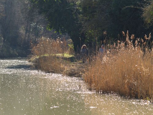 Oxford Canal, Kirtlington Quarry, Oxon.