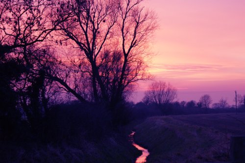 Sunset on the road from Brant Broughton