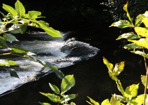 River Dove, Derbyshire