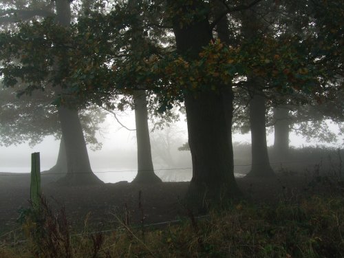 Misty day on the road to Marston
