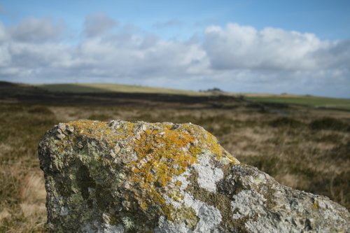 Dartmoor National Park