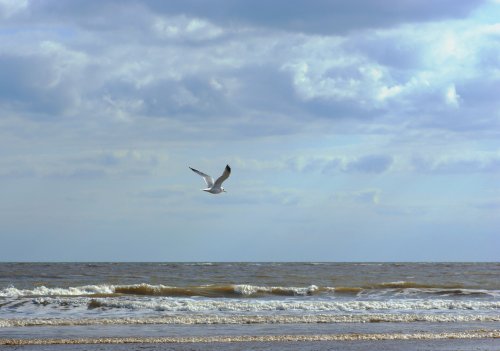 Flight over the sea at Mablethorpe