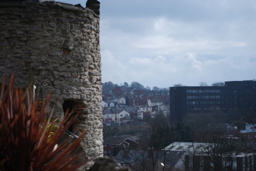 The sensory garden at Dudley Castle and Zoo