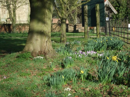 Spring at Doddington Hall