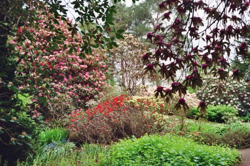 Inverewe Gardens