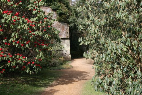 Belsay Hall & Gardens