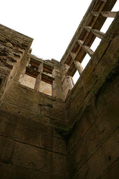 Belsay Hall & Gardens