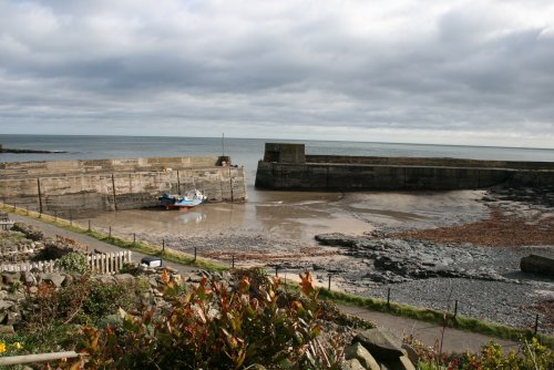 Craster