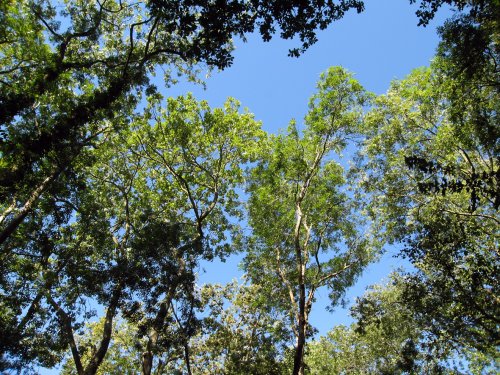 Falling Foss Waterfall