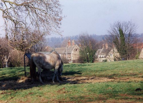 Upper Hambleton