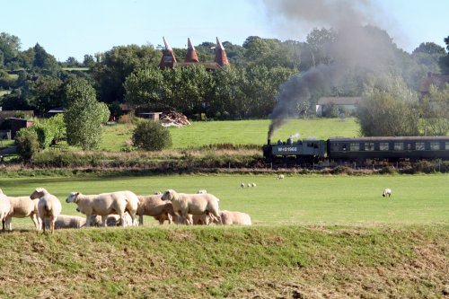 The Kent and East Sussex Railway