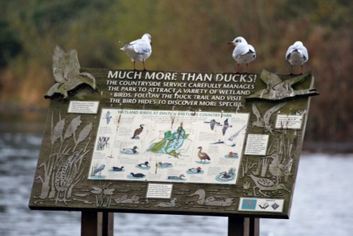 Dinton Pastures Country Park