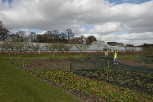 Greenhouse and Vegetable Garden