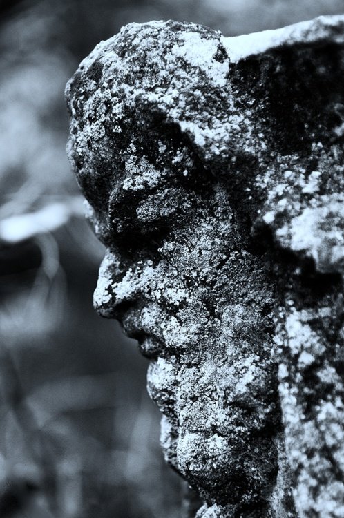 Thinking head - Basildon Park