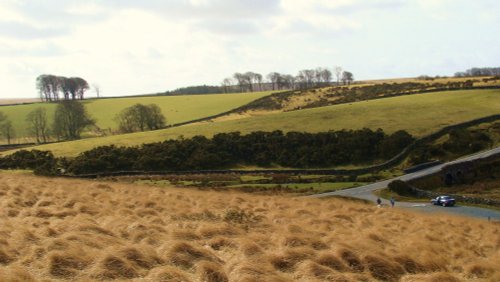 Dartmoor View