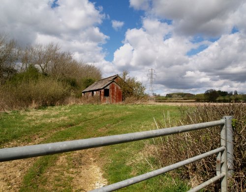 Another view of farmland, Thenford, Northants.