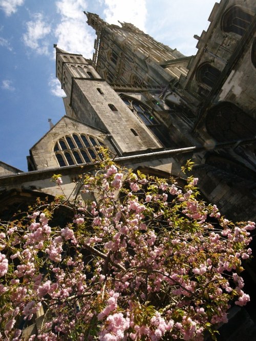 Gloucester Cathedral