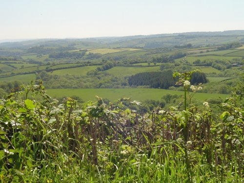 Exmoor Scenery